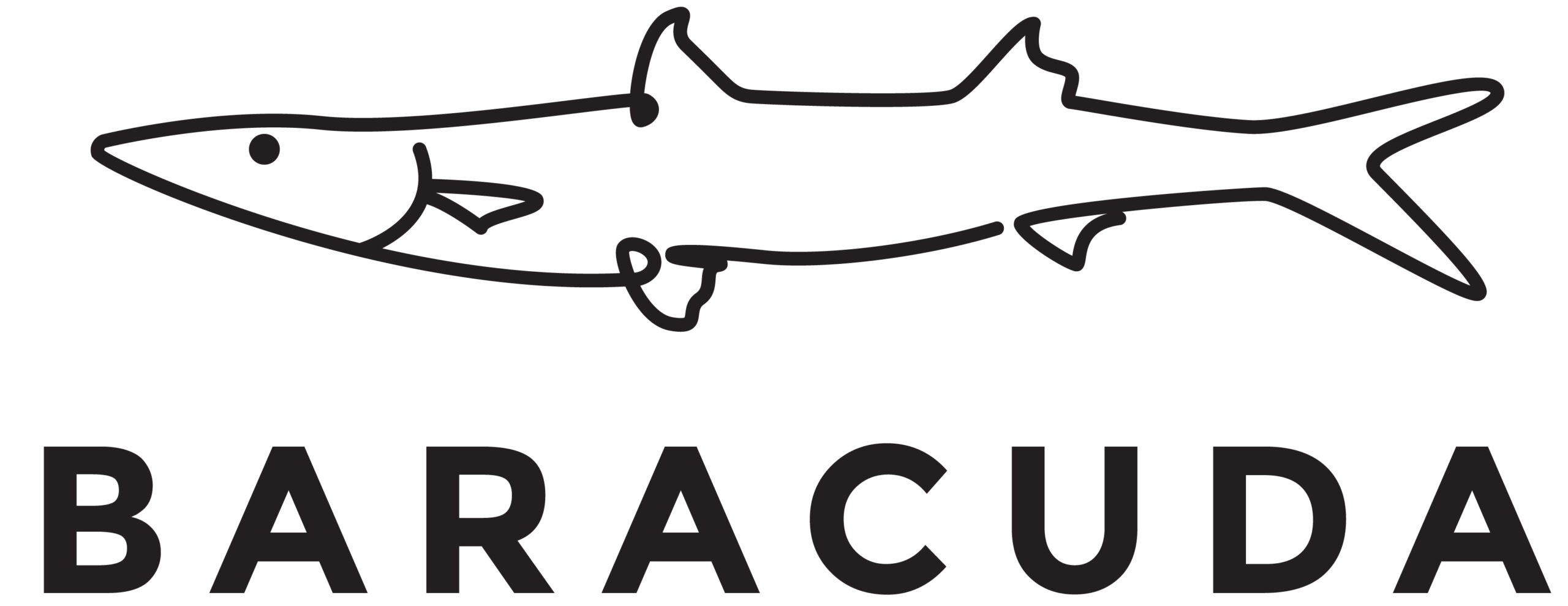 lines fish barracuda logo design