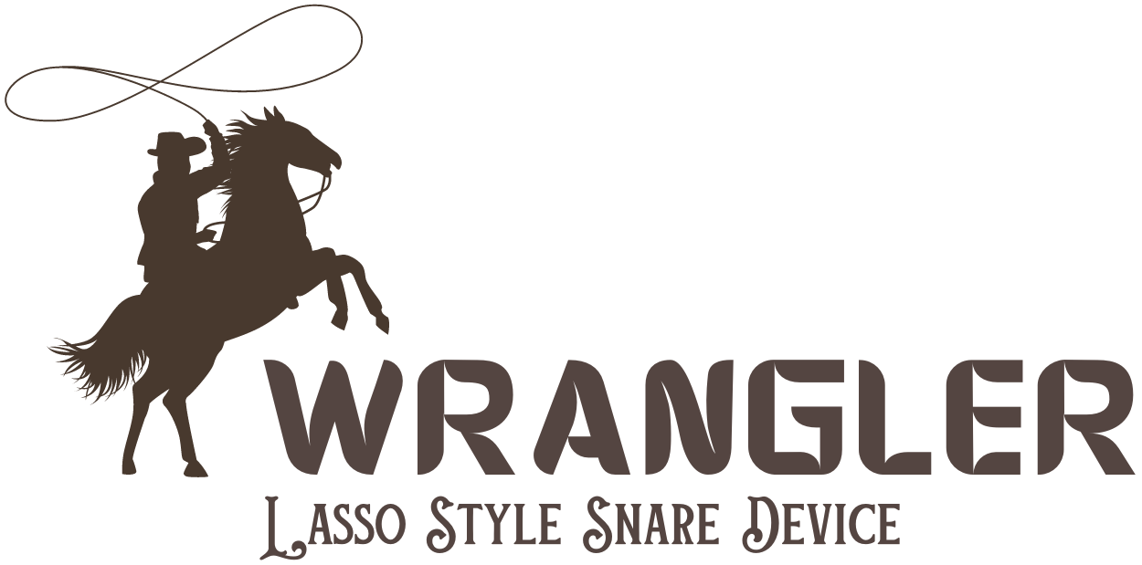 WRANGLER Snare Logo - Color